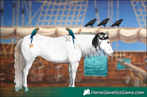 Horse Color:Black Pearl Sabino