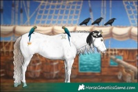 Horse Color:Black Pearl Sabino 