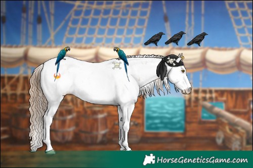 Horse Color:Black Pearl Sabino 