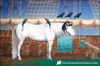 Horse Color:Black Pearl Sabino 