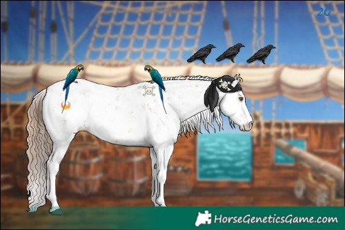 Horse Color:Black Pearl Sabino 