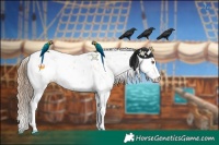 Horse Color:Black Pearl Sabino