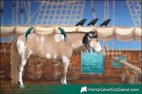 Horse Color:Black Pearl Sabino 