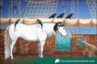 Horse Color:Black Pearl Sabino