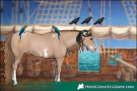 Horse Color:Black Pearl Sabino 