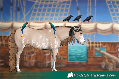 Horse Color:Black Pearl Sabino 