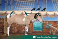 Horse Color:Black Pearl Sabino Tobiano