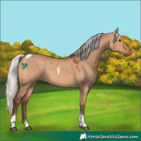 Horse Color:Silver Bay Dun Tobiano 