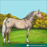 Horse Color:Silver Bay Dun Tobiano 