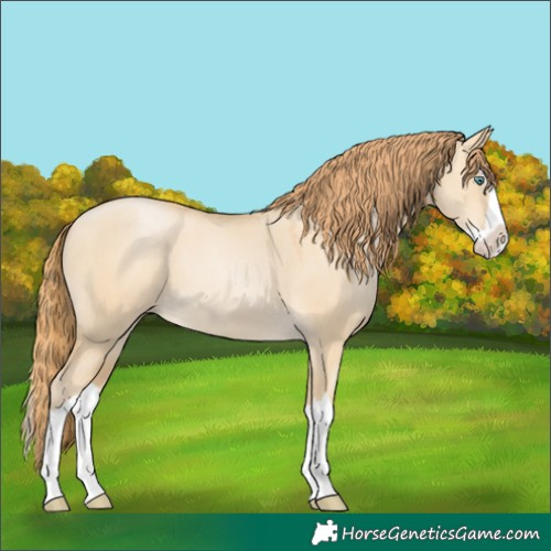 Horse Color:Smoky Grullo Pearl Splash 
