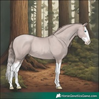 Horse Color:Platinum Black Pearl Splash