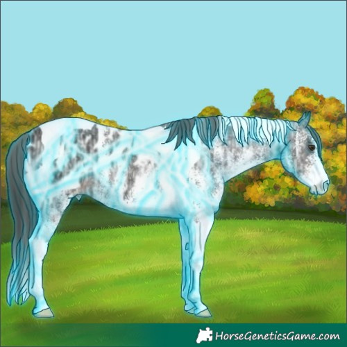 Horse Color:Thunderstruck White Spotted Liver Chestnut Ice Tobiano Appaloosa Rabicano 