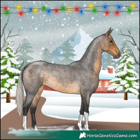 Horse Color:Silver Buckskin Roan 