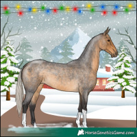 Horse Color:Silver Buckskin Roan 