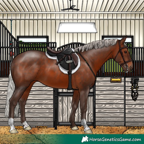 Horse Color:Silver Brown