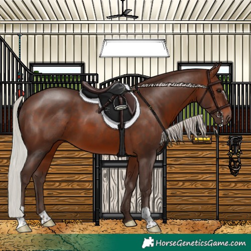 Horse Color:Silver Brown 