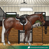 Horse Color:Silver Brown 