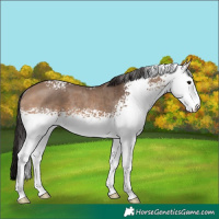 Horse Color:White Spotted Brown Dun Rabicano Brindle 
