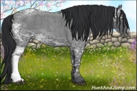 Horse Color:Blue Ice Roan 