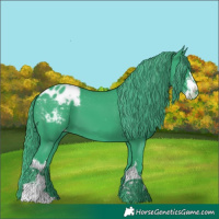 Horse Color:Watercolor White Spotted Black Blanket 