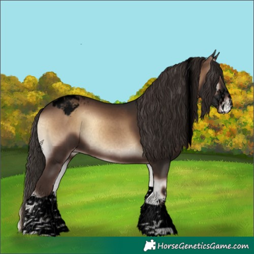 Horse Color:Void Liver Red Onyx Sabino Tobiano Appaloosa 
