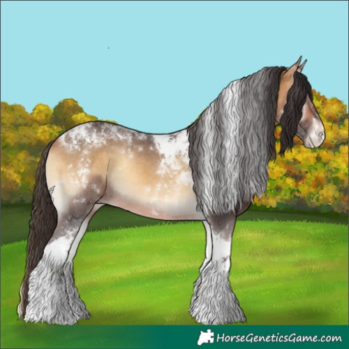 Horse Color:Buckskin Onyx Sabino Tobiano Rabicano 