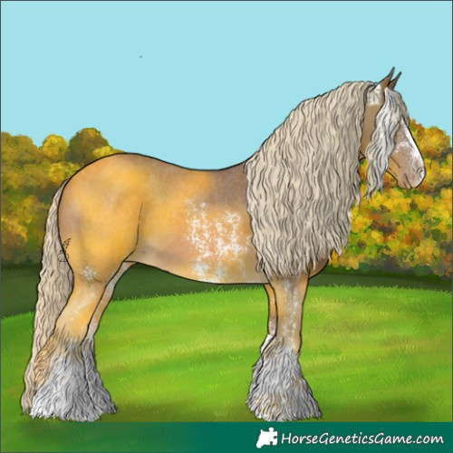 Horse Color:Chocolate Palomino Sabino Appaloosa 