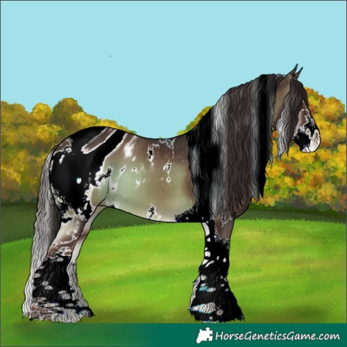 Horse Color:ERROR: UNKNOWN ANOMALY