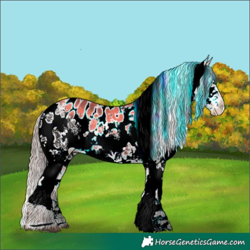 Horse Color:White Spotted Liver Chestnut Sabino Blanket