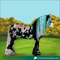 Horse Color:White Spotted Liver Chestnut Sabino Blanket 
