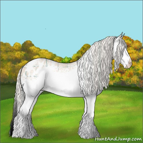 Horse Color:Plaid  White Spotted Cremello Ice Appaloosa Rabicano 