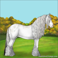 Horse Color:Plaid White Spotted Cremello Ice Appaloosa Rabicano