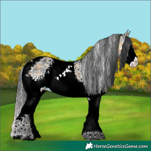 Horse Color:Plaid  White Spotted Buckskin Ice Tobiano 