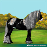 Horse Color:Plaid  White Spotted Buckskin Ice Tobiano 