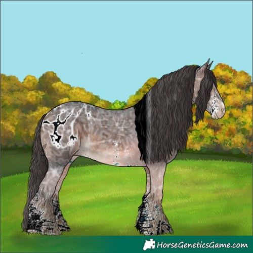 Horse Color:Brown Ice Sabino Tobiano Appaloosa 