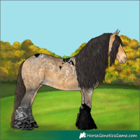 Horse Color:Void Buckskin Ice Tobiano 