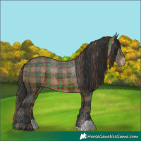 Horse Color:Plaid  Brown Varnish 