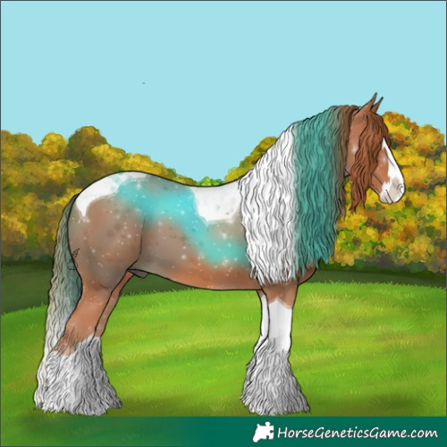 Horse Color:Chestnut Splash Tobiano 