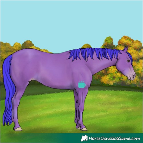 Horse Color:Watercolor Classic Champagne Rabicano 