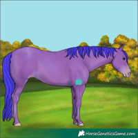 Horse Color:Watercolor Classic Champagne Rabicano 