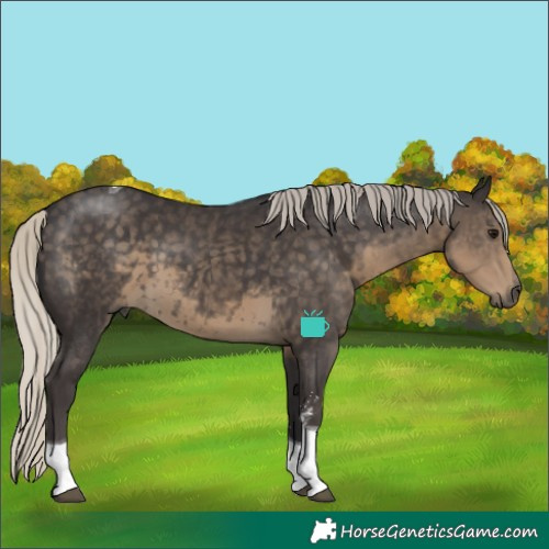 Horse Color:Silver Smoky Black Sabino Tobiano