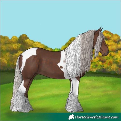Horse Color:Silver Black Tobiano 