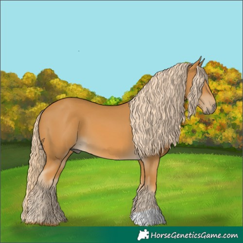 Horse Color:Palomino 