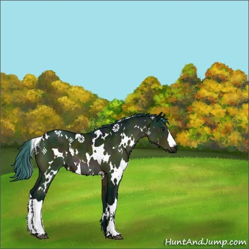 Horse Color:Watercolor White Spotted Midnight Brown 