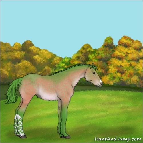 Horse Color:Watercolor Chocolate Brown 