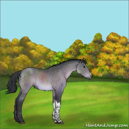 Horse Color:Platinum Brown 