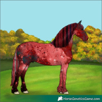 Horse Color:ERROR: UNKNOWN ANOMALY