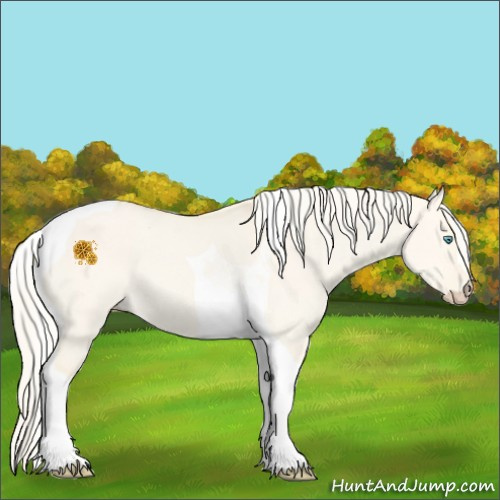 Horse Color:Cremello Dun Tobiano 