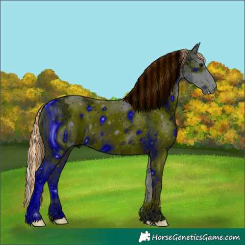 Horse Color:ERROR: UNKNOWN ANOMALY