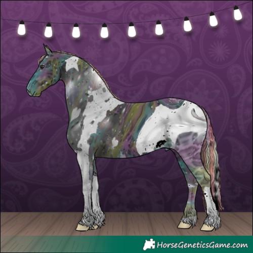 Horse Color:ERROR: UNKNOWN ANOMALY